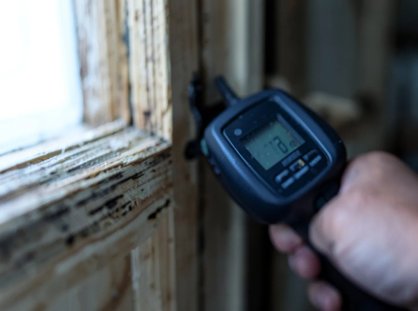Commercial Water Damage Restoration in Anasco, PR